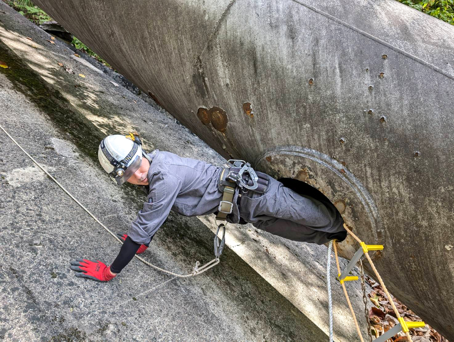 トップアバウト画像02